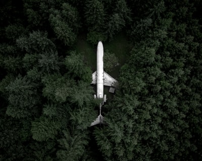 白色的飞机在森林中间的一天
